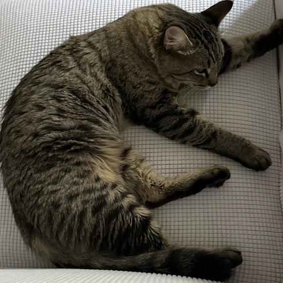 Meet your Posher, Jonathan - Picture 1 of 1